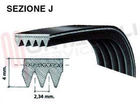 Immagine di CINGHIA RIGHI 4 MEDIO CM.55 1123 J4