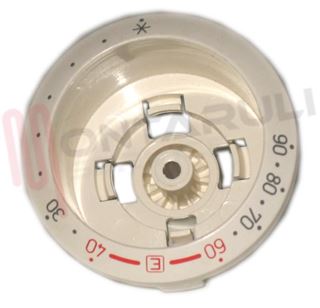 Picture of INDICATORE TEMPERATURA