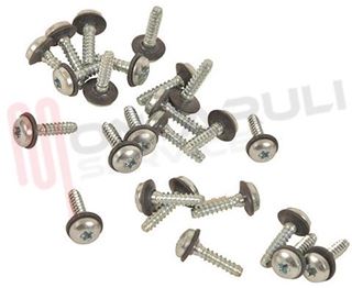 Immagine di KIT VITE 2.9X13MM. PER BRUCIATORE 24PZ.