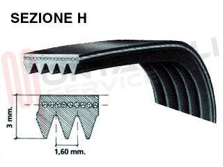 Immagine di CINGHIA RIGHI 8 STRETTI 1258 8PHE POLY-V